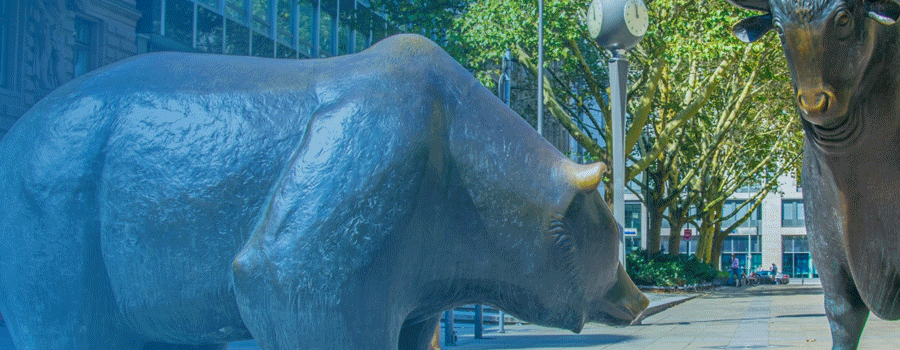 2018 Market Review – Bull Turns Tail