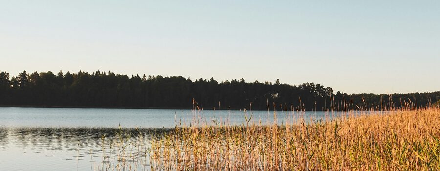 Invesco launches EURO STOXX 50 equal-weight ETF