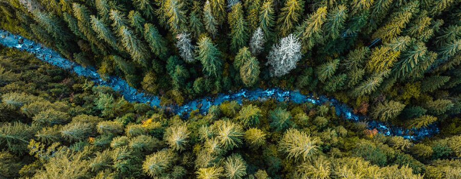 CTB, PAB climate benchmarks evolve with investment landscape