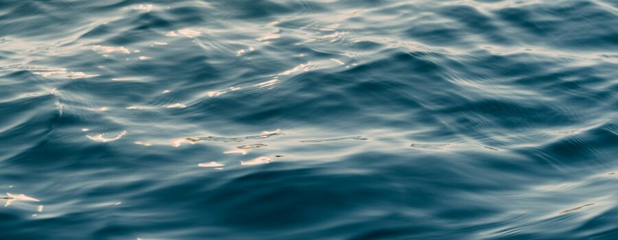 Global water innovators: a sustainability perspective